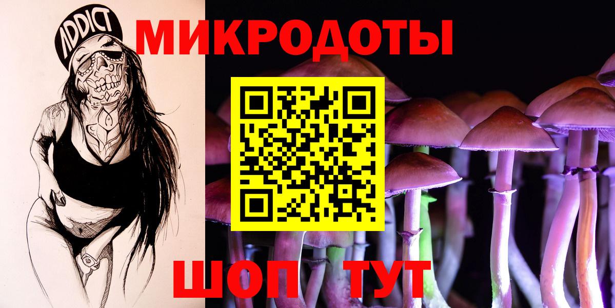 Псилоцибиновые грибы Psilocybe  Вход с VPN  цена наркотик  Городец  Галлюциногенные грибы прущие грибы 